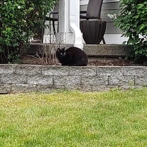 Meet your Posher, Melanie